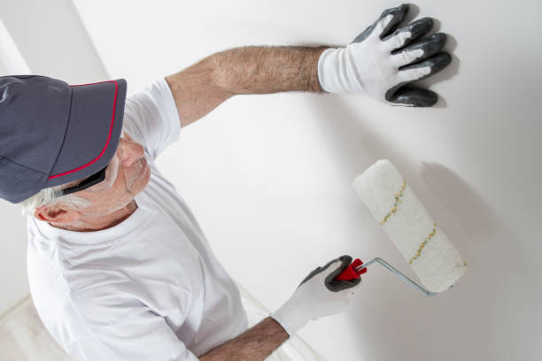 Best Black Mold Removal  in Shiloh, PA
